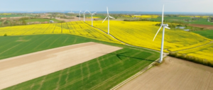 Eco ess Banner